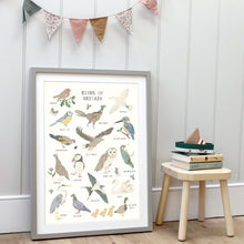 Load image into Gallery viewer, Birds of Britain | Fact Sheet