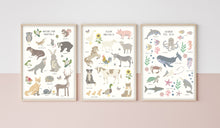 Load image into Gallery viewer, Farm Animals | Fact Sheet