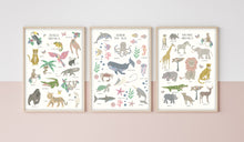 Load image into Gallery viewer, Jungle Animals | Fact Sheet