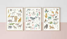Load image into Gallery viewer, Safari Animals | Fact Sheet
