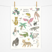 Load image into Gallery viewer, Jungle Animals | Fact Sheet