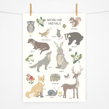 Load image into Gallery viewer, Woodland Animals | Fact Sheet