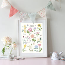 Load image into Gallery viewer, Garden Flowers | Fact Sheet