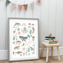 Load image into Gallery viewer, Under the Sea | Fact Sheet