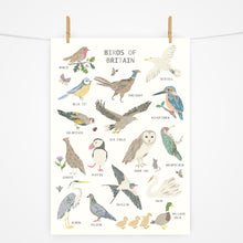 Load image into Gallery viewer, Birds of Britain | Fact Sheet