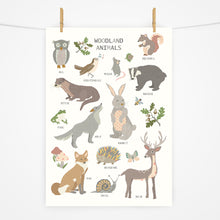 Load image into Gallery viewer, Woodland Animals | Fact Sheet